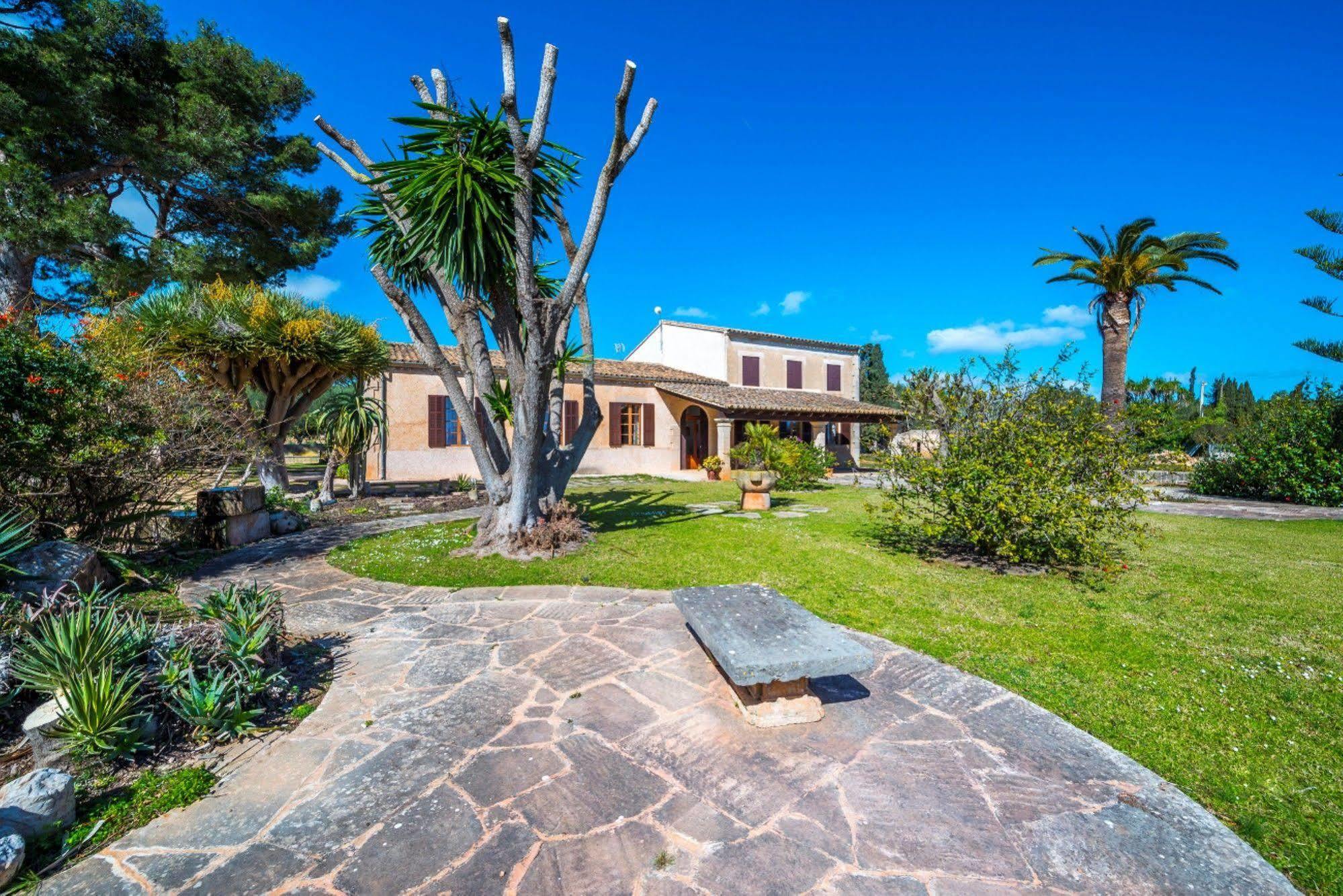Villa Can Cirerol Puerto Colom Ngoại thất bức ảnh